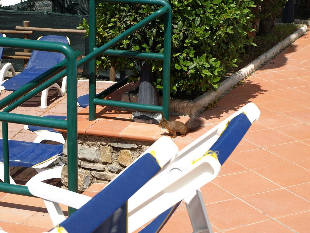 Camping Village Panoramico Fiesole Bagian luar foto